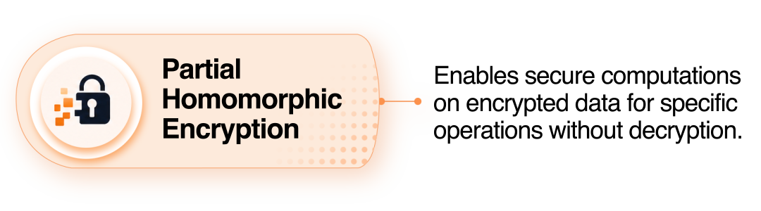 Partial Homomorphic Encryption