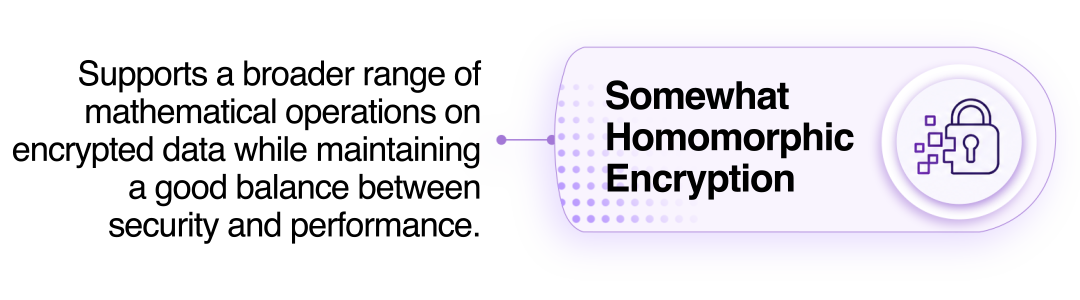 Somewhat Homomorphic Encryption